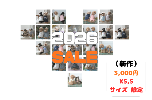 2026SALE .png