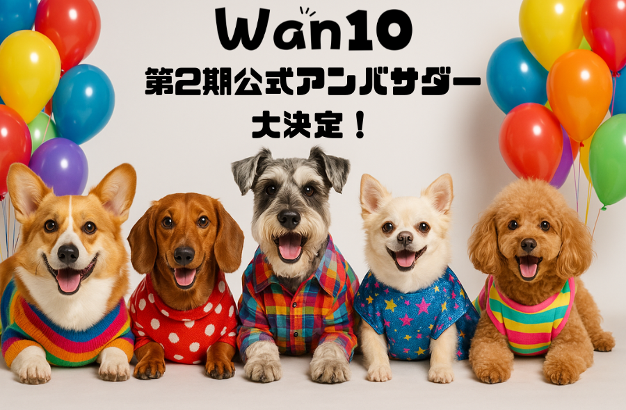 2525アンバサダー大決定.png