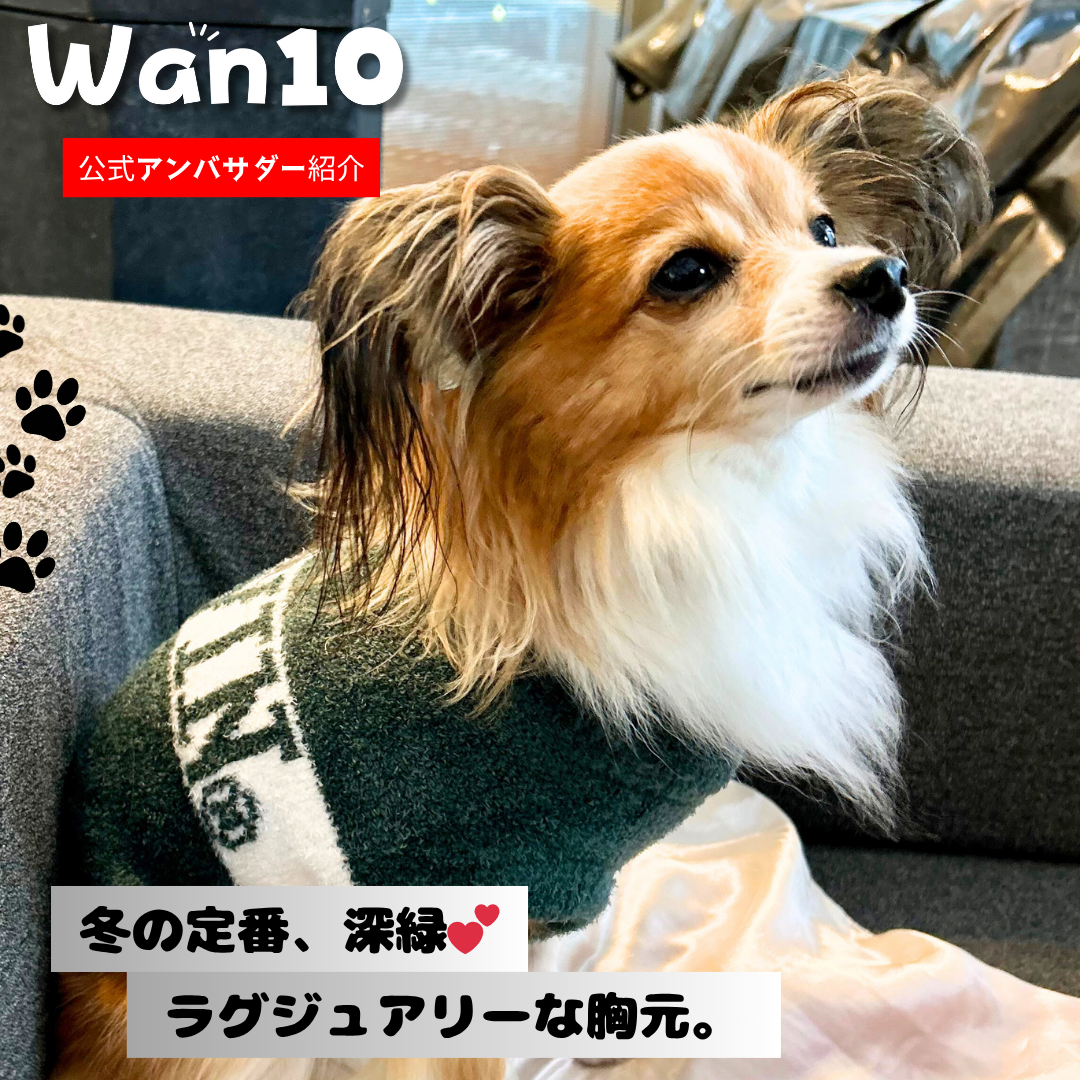 アイザックくん