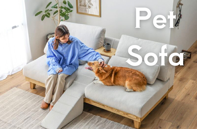 pet_sofa.png