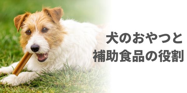 おやつと補助食品