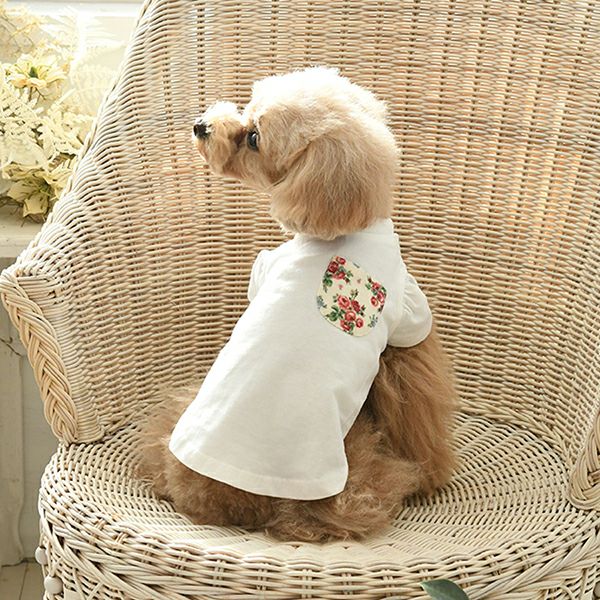 LAURA ASHLEY ドッグシャツ