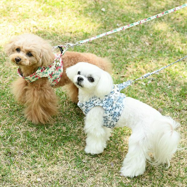 LAURA ASHLEY フラワーハーネス｜犬服・ペットグッズ専門店「Wan10