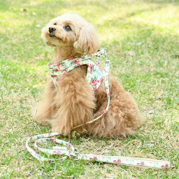 LAURA ASHLEY フラワーハーネス｜犬服・ペットグッズ専門店「Wan10