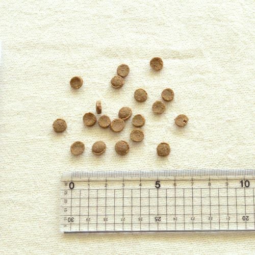 yum yum yum！ シニア&ライト 馬肉 ドライタイプ