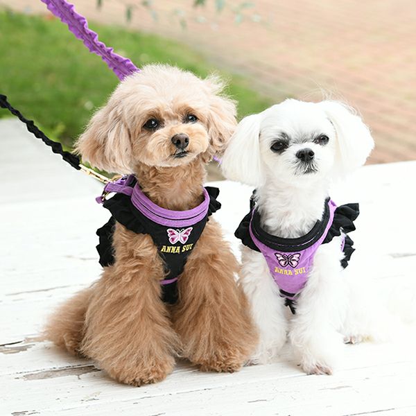 ANNA SUI バタフライ刺繍フリルハーネス｜犬服・ペットグッズ専門店