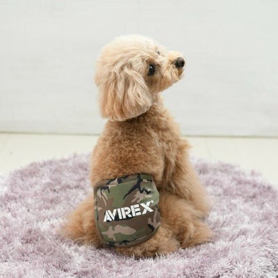 AVIREX マナーベルト グリーンカモ