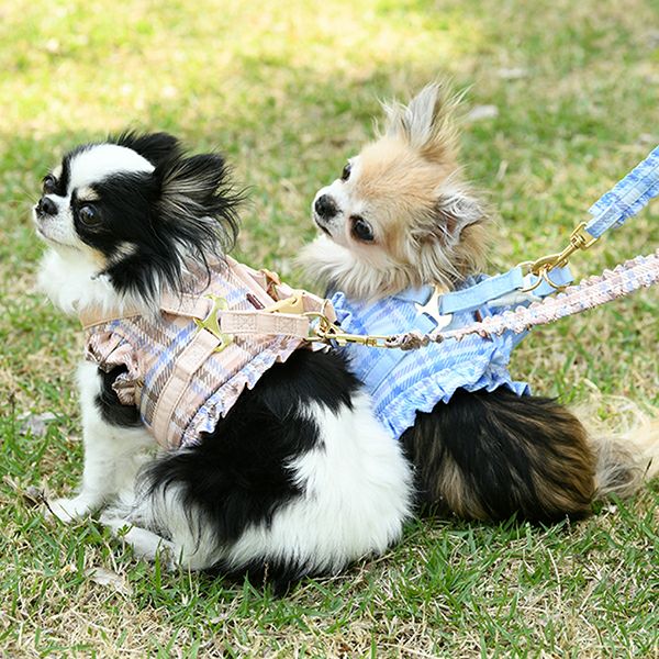 【OVER GLAM】犬服まとめ売り セット S 首輪リード付 定価10万円相当 首輪・リード・ハーネス｜犬服・ペットグッズ専門店「Wan10(ワント)」