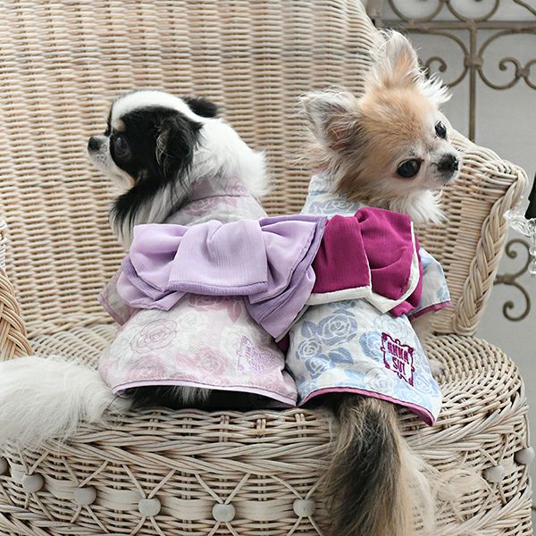 ANNASUI（アナスイ）バラプリント浴衣｜犬服・ペットグッズ専門店