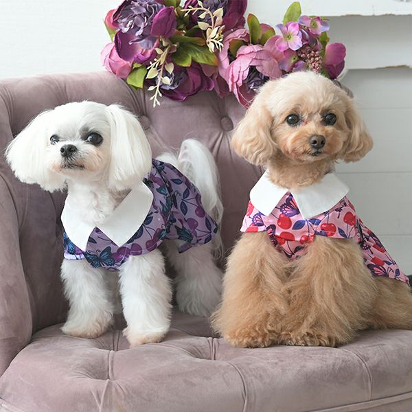 2025新商品ANNASUI（アナスイ）リボンタイチェリー総柄ワンピ｜犬服