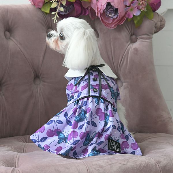 2025新商品ANNASUI（アナスイ）リボンタイチェリー総柄ワンピ｜犬服