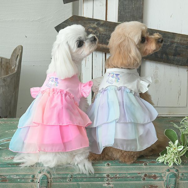 ANNA SUI（アナスイ）｜犬服・ペットグッズ専門店「Wan10(ワント)」