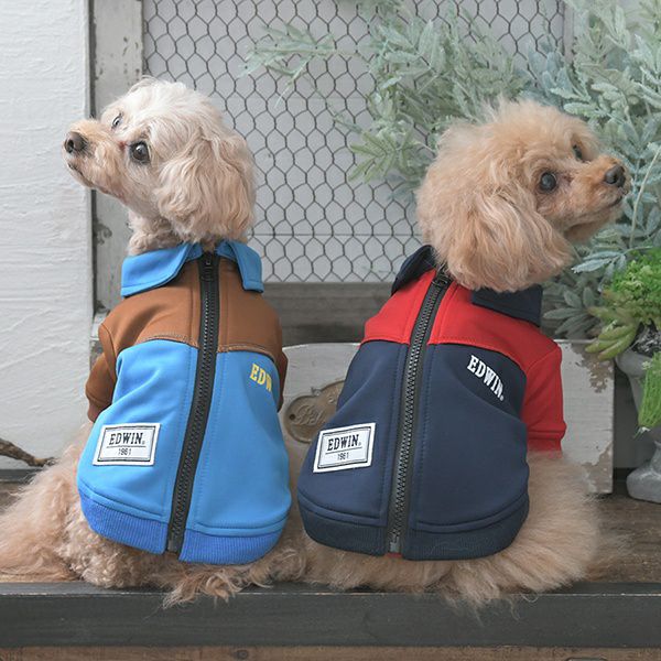 EDWIN（エドウィン）｜犬服・ペットグッズ専門店「Wan10(ワント)」