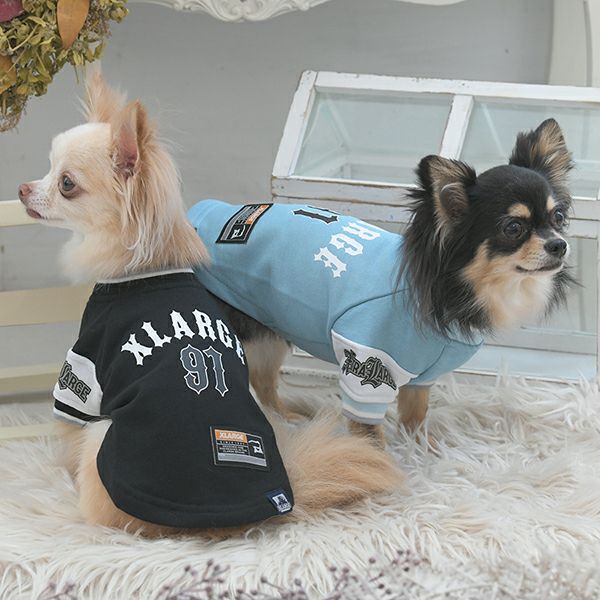 2025新商品 XLARGE（エクストララージ）ロゴプルオーバー｜犬服