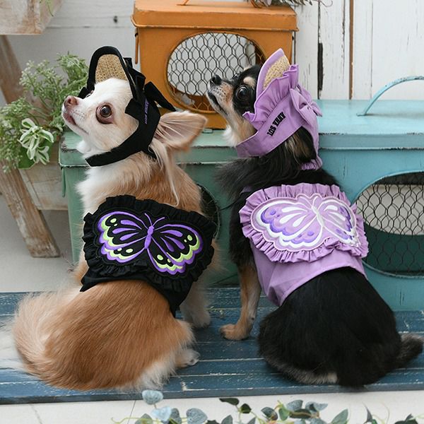 アクセサリー・小物｜犬服・ペットグッズ専門店「Wan10(ワント)」