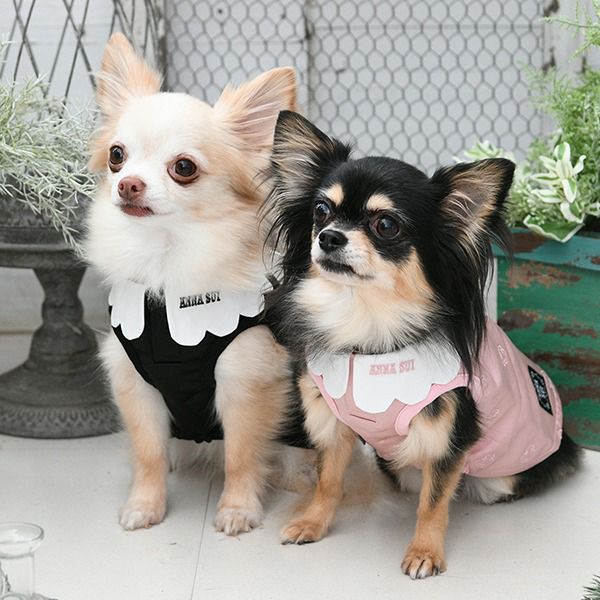2026新商品ANNASUI（アナスイ）バタフライ刺繍Aラインワンピ｜犬服