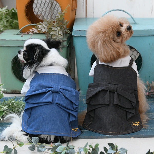 ワンピース｜犬服・ペットグッズ専門店「Wan10(ワント)」