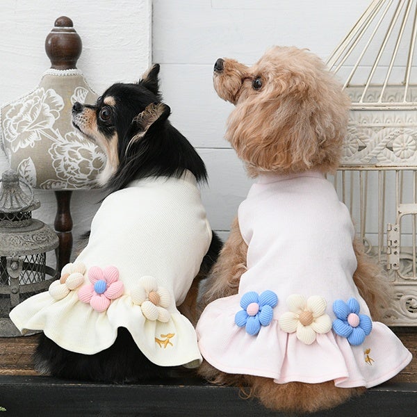 ワンピース｜犬服・ペットグッズ専門店「Wan10(ワント)」