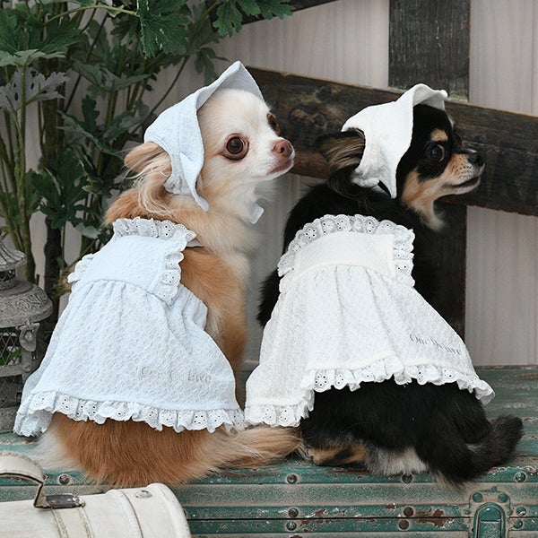 familiar ワンピース 90 犬刺繍付き 可愛いワンちゃん大集合！！｜ファミリア伊勢丹新宿店ファミリア