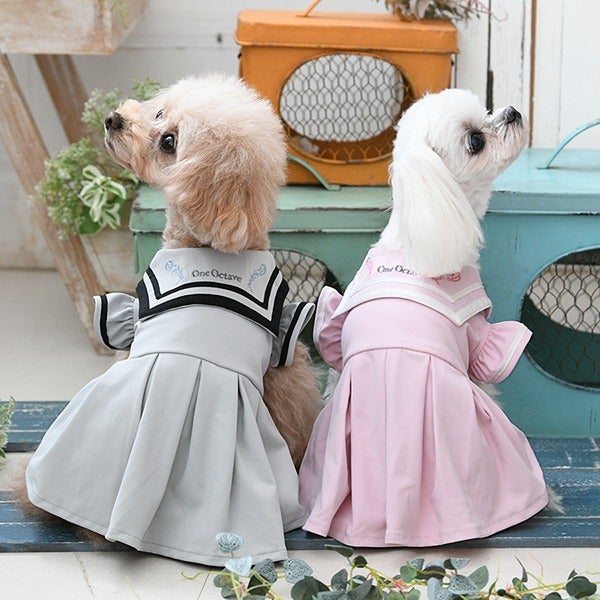 犬服ハンドメイドワンピース　ワン⭐︎mama⭐︎様 one ハンドメイド犬服 (@plusone1114) • Instagram photos and videos