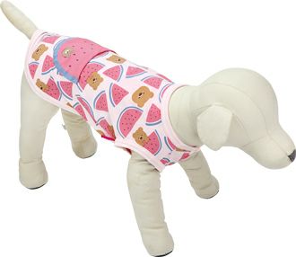 2026年春夏新商品】スイカのマーチ｜犬服・ペットグッズ専門店「Wan10