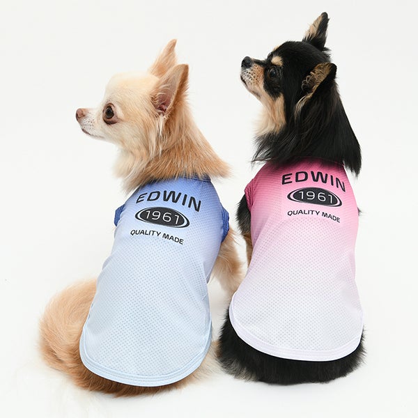 EDWIN（エドウィン）｜犬服・ペットグッズ専門店「Wan10(ワント)」