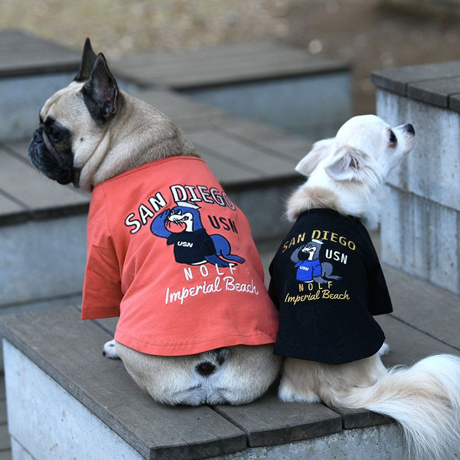 新品 犬用AVIREX USAF 70th ドッグタグ付フレンチブル AVIREX（アヴィレックス）｜犬服・ペットグッズ専門店「Wan10(ワント)」