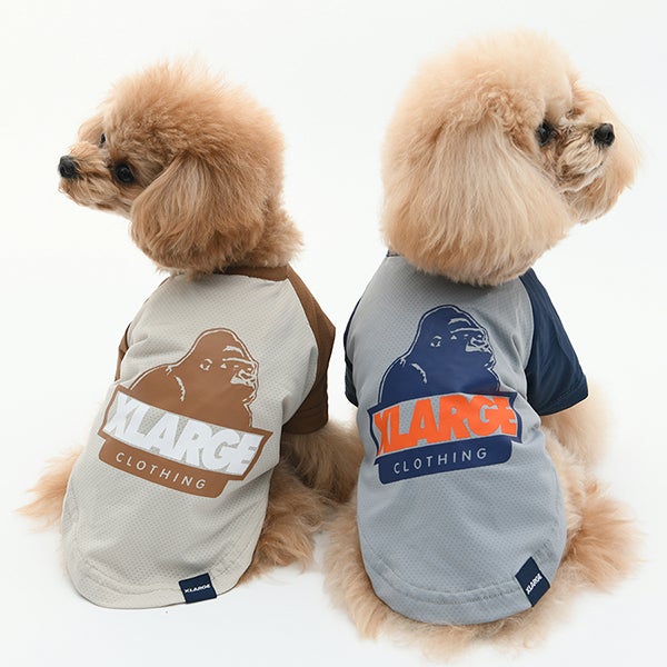 2026新商品XLARGE（エクストララージ）OGラグラン風メッシュT｜犬服